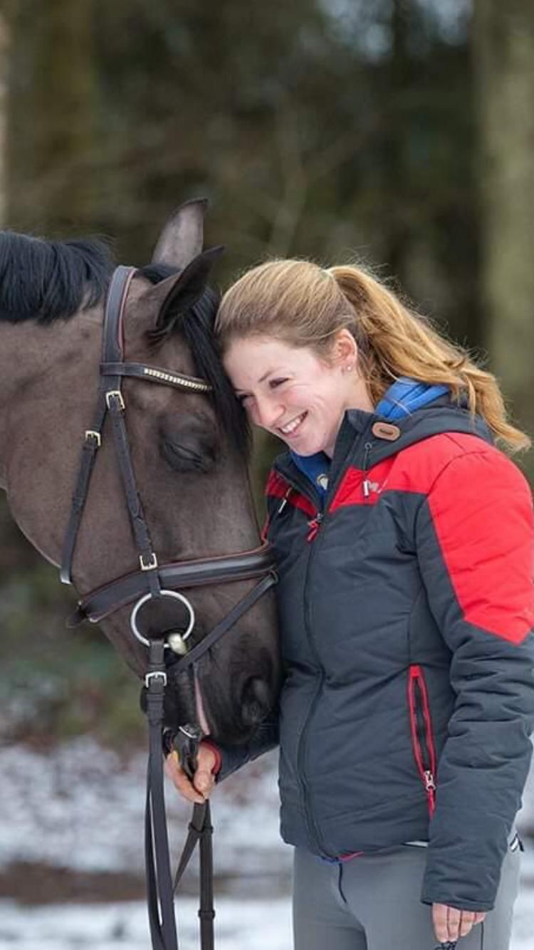 Expert Horse Service